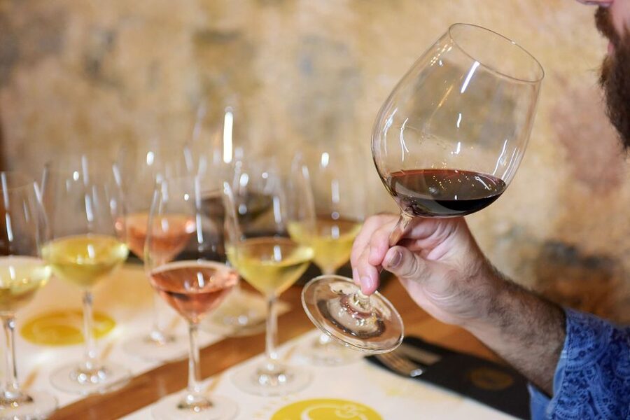 Rhodes: Private Wine Tasting Experience for Beginners - Should you book this Rhodes wine tasting with a sommelier?