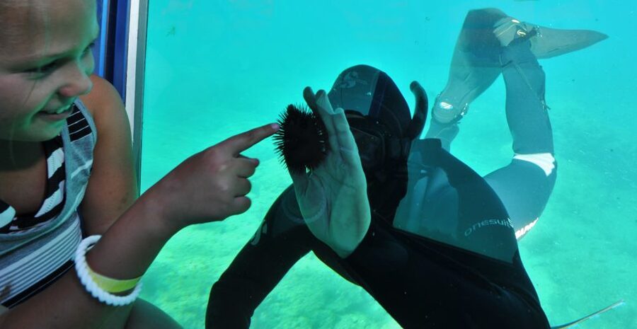 Rhodes Town: Yellow Submarine Cruise with Underwater Views - What the Yellow Submarine experience is really like