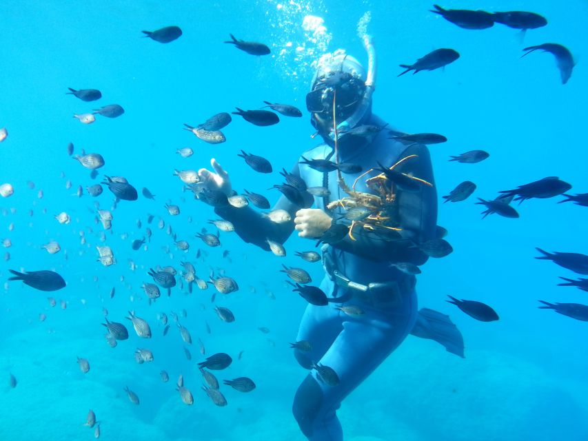 Rhodes Town: Yellow Submarine Cruise with Underwater Views - The 45-minute route in Rhodes Town, stop by stop