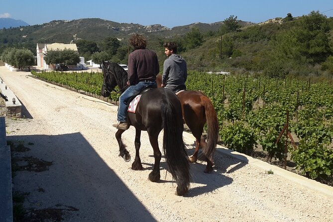 Rhodes Wine & Food Tour: 10 Meal Course Lunch, Wine Tasting, Cooking Class - What you actually get in this 4-hour Rhodes lunch
