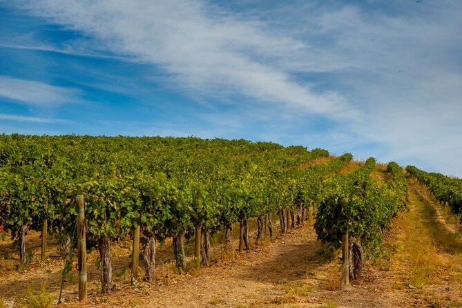 Rhodes Wine & Food Tour: 10 Meal Course Lunch, Wine Tasting, Cooking Class - Cooking class: hands-on, but don’t expect a long culinary bootcamp