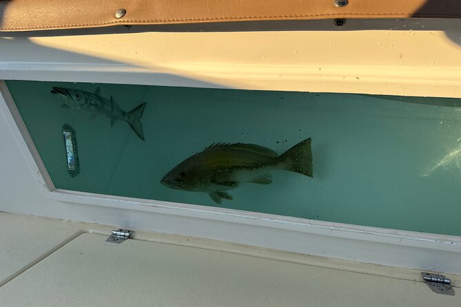 Santorini Fishing Private Cruise boat tour - BBQ, Snorkeling - BBQ on the Boat: Eating What Comes Up, Plus Sides You’ll Remember
