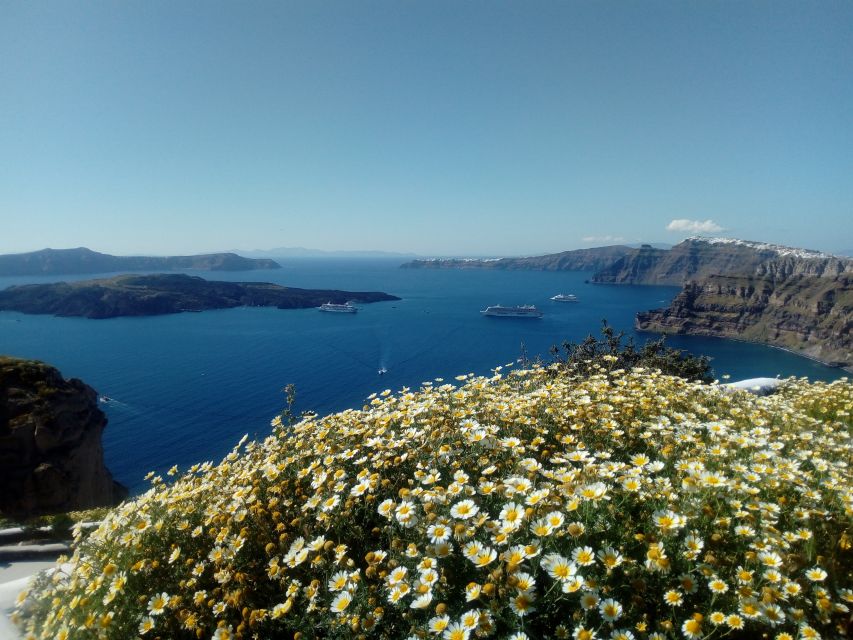 Santorini: Half-Day Sightseeing Tour with Hotel Pickup - Guides and Drivers: Why People Keep Mentioning the Pairing