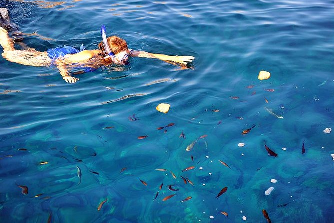 Santorini Luxury Catamaran Sunset Cruise with BBQ, Drink and Transfer - Red Beach and White Beach: snorkeling time with the boat doing the work
