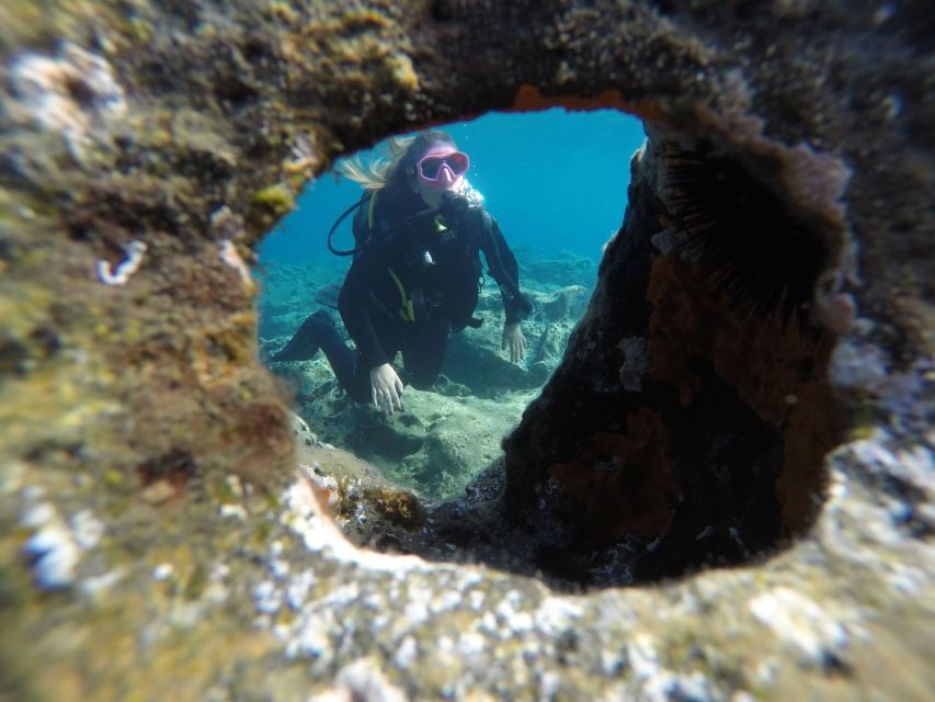 Santorini: Scuba Diving Experience in Caldera for Beginners - What You’ll See Underwater, and Why It’s More Than Just Pretty Fish