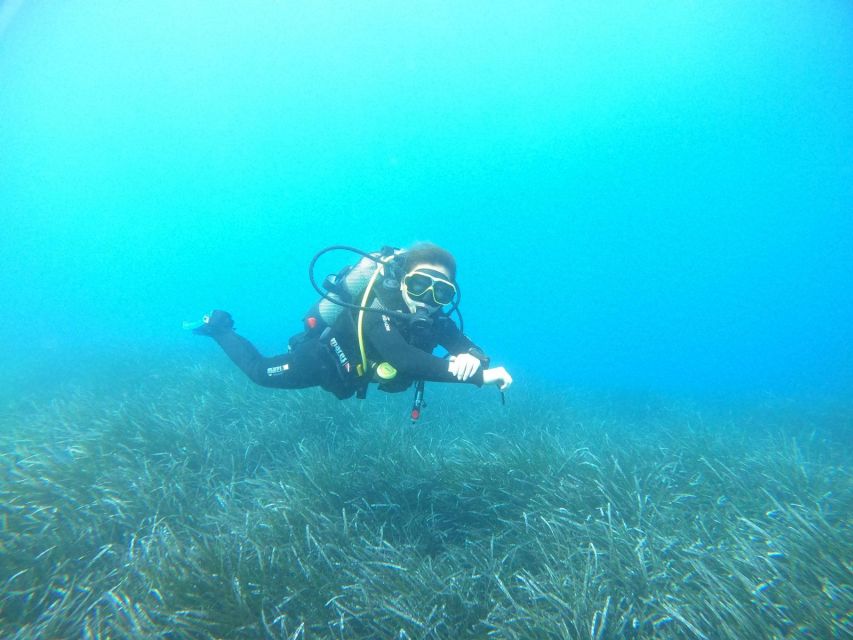 Santorini: Scuba Diving Experience in Caldera for Beginners - Price and Value: What $106 Buys You (and What It Doesn’t)