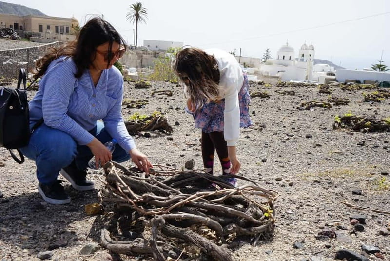 Santorini: Small Group Sightseeing Tour with a Local Guide - Pace, comfort, and what to bring