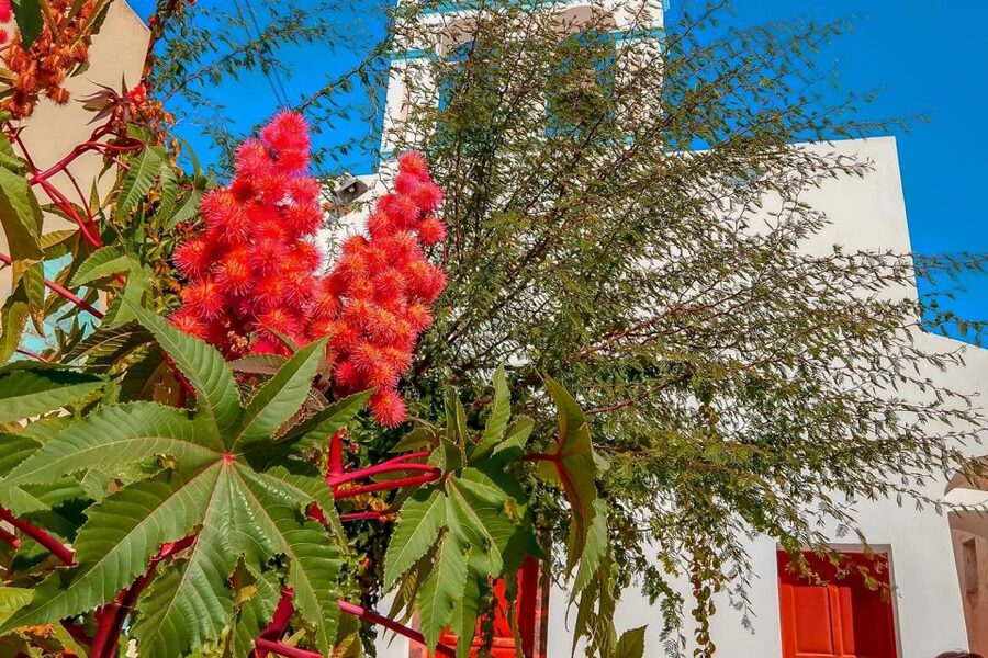 Santorini: Traditional Sightseeing Bus Tour with Oia Sunset - Pickup, comfort, and the small logistics details that matter