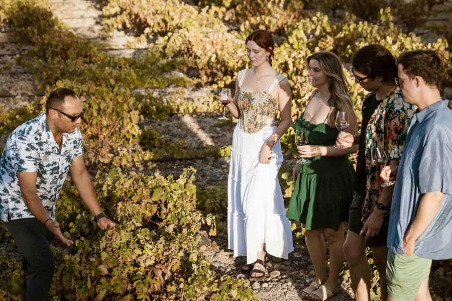 Santorini: Wine Tasting Tour with Snacks - Your 4-Hour Plan, Morning or Sunset Route