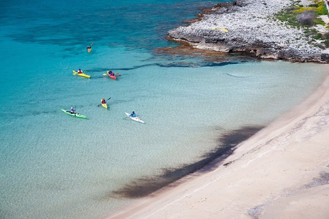 Sea Kayak in Kardamili - Foneas Beach Picnic and the Route’s Real Payoff