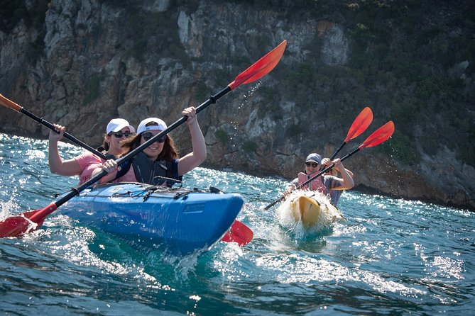 Sea Kayaking in Navarino Bay - Quick hits before you paddle Navarino Bay