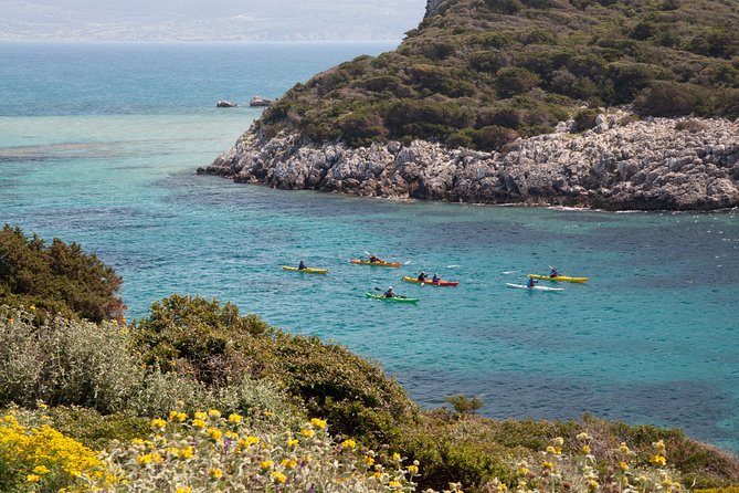 Sea Kayaking in Navarino Bay - The monolithic islet, stone arch, and bird life in the south bay