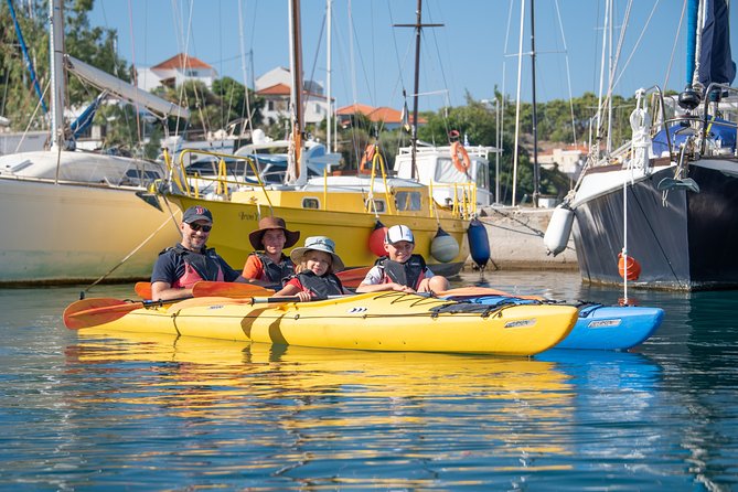 Sea Kayaking in Navarino Bay - Picnic with local flavor: the homemade olive oil difference