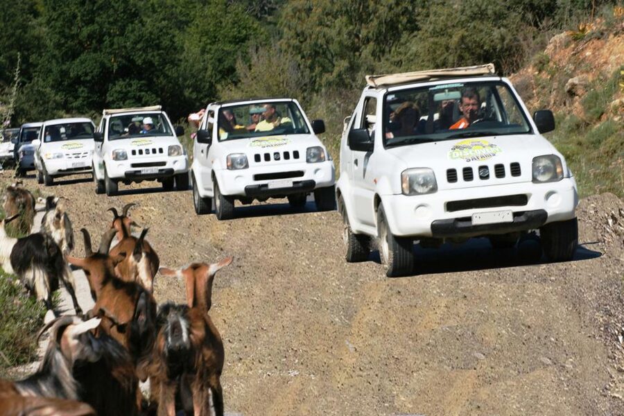 Self-Drive Jeep Safari to South Coast, Palm Beach & Canyons - Potamon Dam Coffee Break: The Quiet Reset Point