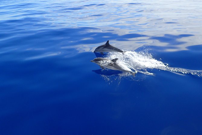 Semi-private Antiparos & Caves Blue Lagoon OR Rina Cave & Small Cyclades - Key highlights at a glance