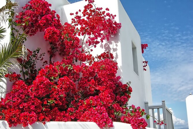 Sightseeing like a Mykonian(Small Group or Private) - What you are really paying for: value in 3.5 hours