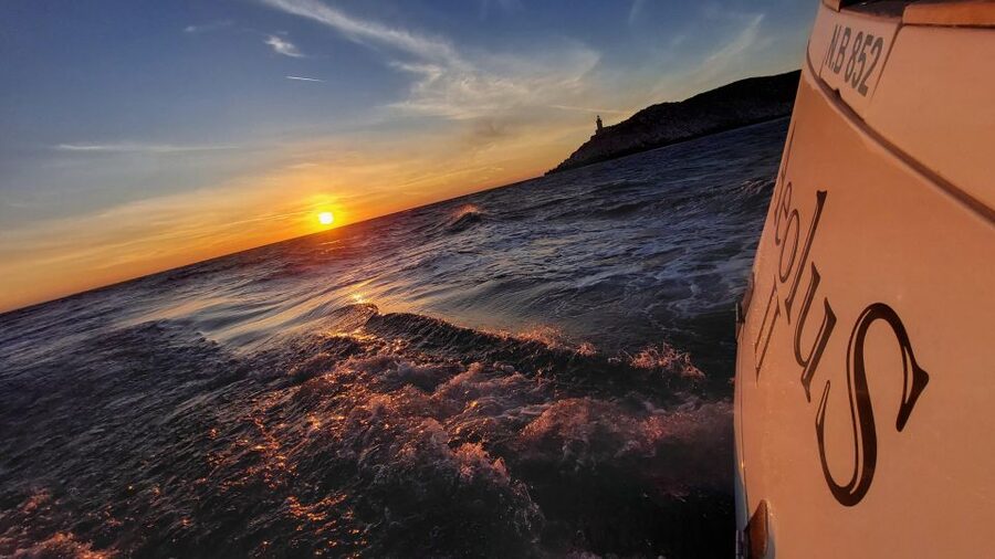 Skiathos: Full-Day Sailing Cruise with Lunch - Dolphins and sea life: why the water time feels alive