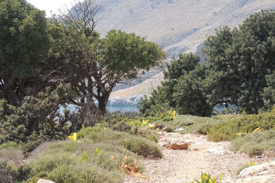 South Crete: Sarakinas Gorge Hike, Swim & Jeep Safari - Pickup Around Crete’s Tourist Belt, Then Out Into the Quiet