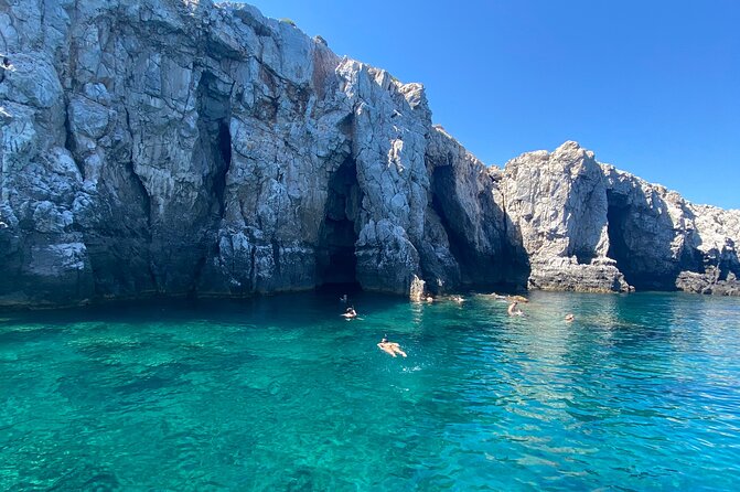 Sun & Sea All Inclusive 3 Hour Swimming Cruise (WITH PICK UP SERVICE) - Snorkeling Setup: Noodles, Masks, and How to Make It Worth It