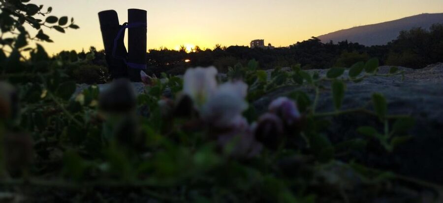 Sunrise Yoga & Meditation Acropolis & 360 view - Sunrise vs sunset: a view swap you can plan around