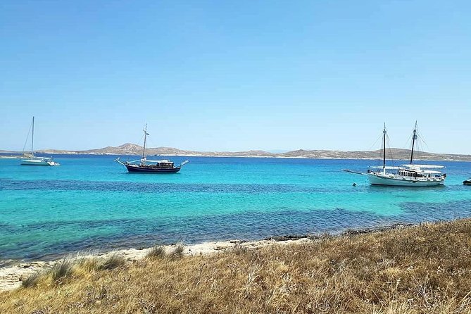 The Authentic Rhenia-Delos Cruise - Stop 2, Delos: UNESCO ruins with a self-guided feel