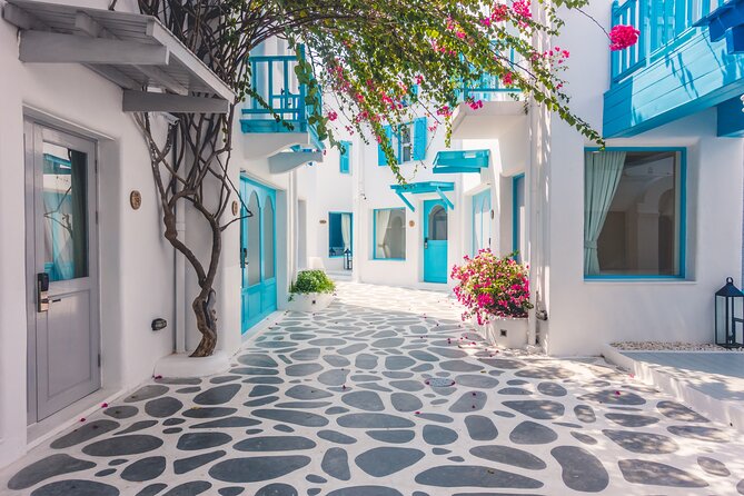 The Best Santorini Small-Group Shore Excursion for Cruise Ships - Price and value: what you get for about $83.48