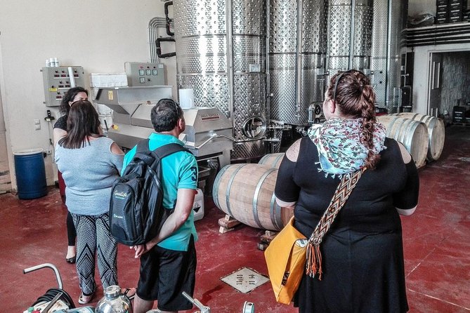 The Gourmet Wine Tour of Heraklion area - Bakaliko Crete olive oil tasting and Archanes lunch with wine pairing