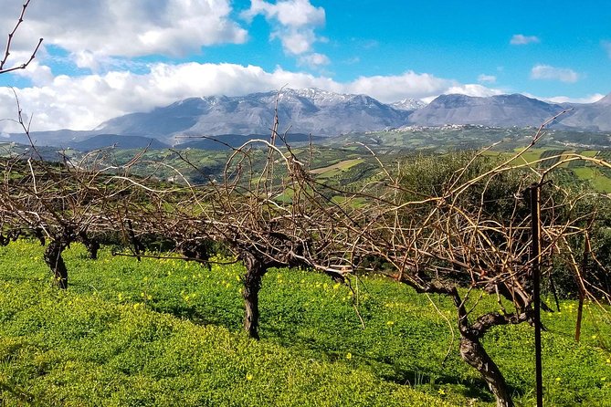The Gourmet Wine Tour of Heraklion area - How much you’ll taste, and how to pace it like a pro