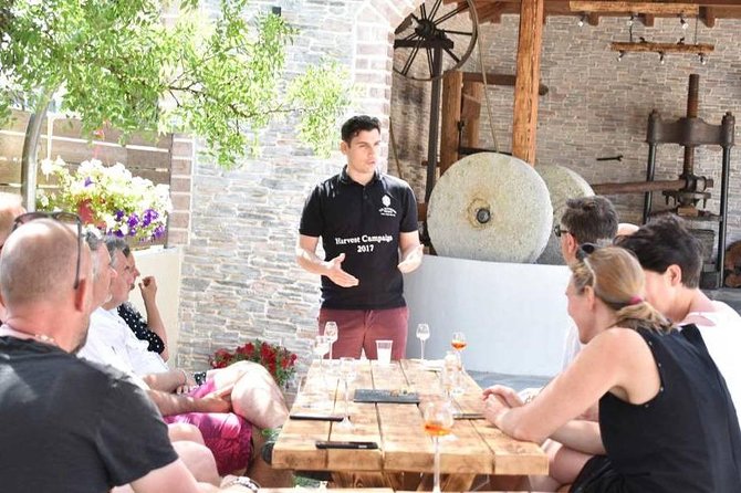 The Governor's Olive Mill Tour with Olive Oil Tasting - Key highlights you can plan around