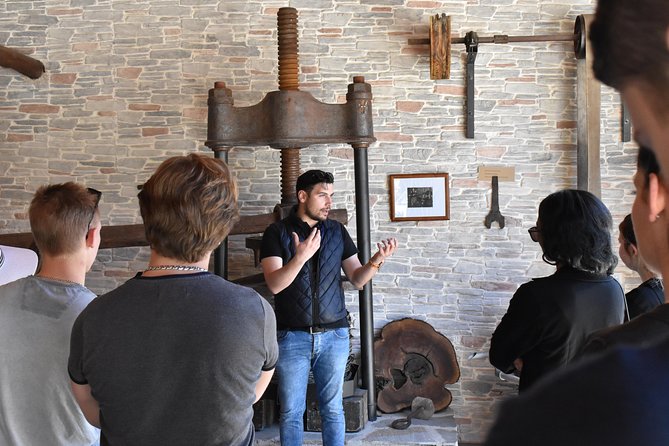 The Governor's Olive Mill Tour with Olive Oil Tasting - Walking the ancient olive groves before the tasting starts