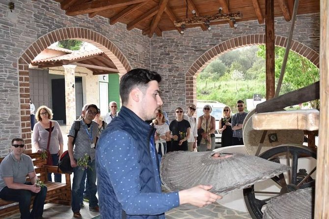 The Governor's Olive Mill Tour with Olive Oil Tasting - Drive through Corfu countryside, then maybe a fort and the oldest olive tree