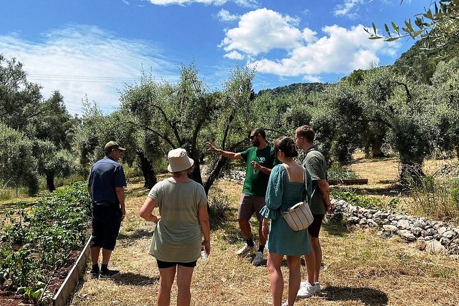 The Olive Oil Experience @ Lefkada Micro Farm - The Masterclass: History, Cultivation, and Why Polyphenols Matter