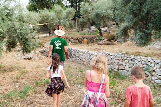 The Olive Oil Experience @ Lefkada Micro Farm - Tasting Like a Real Olive Oil Taster (Without Overthinking It)