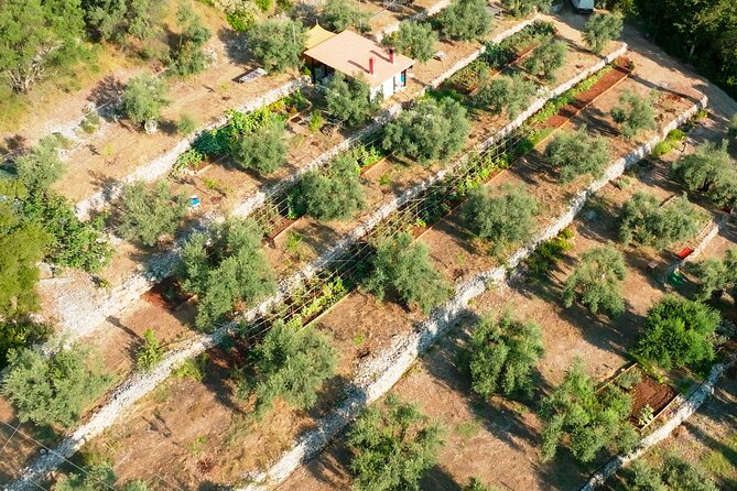 The Olive Oil Experience @ Lefkada Micro Farm - Price and Timing: Is $54 for 1.5 Hours Worth It?