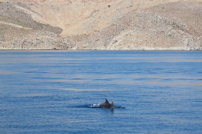 The Santa Maria 3 Island Cruise in the Aegean w/ Free Audio Guide - Kos to Pserimos, Kalymnos, and Plati: what this cruise really feels like