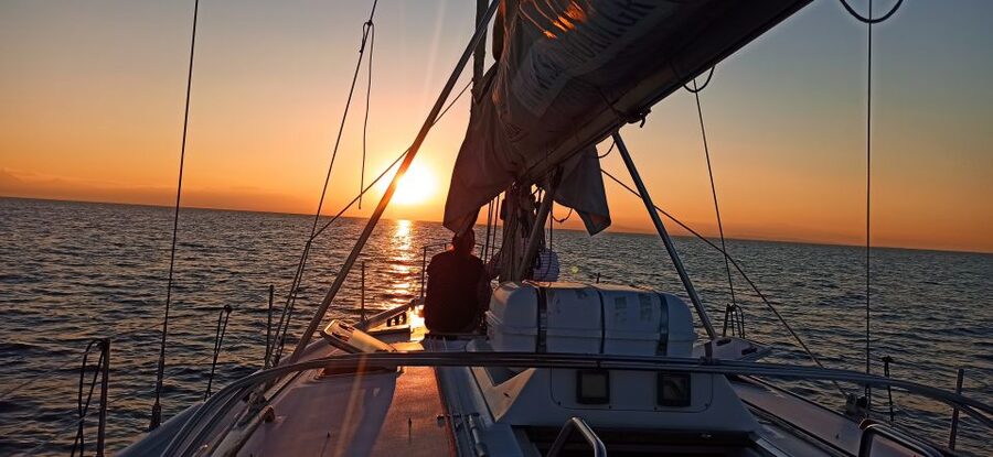 Thessaloniki Sunset Cruise departing from Nea Michaniona - Dolphins and marine life: what to expect without forcing it