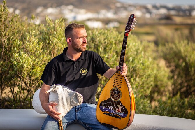 Tour and Wine Tasting in Mykonian Land - Who Should Book This and Who Might Want Another Option