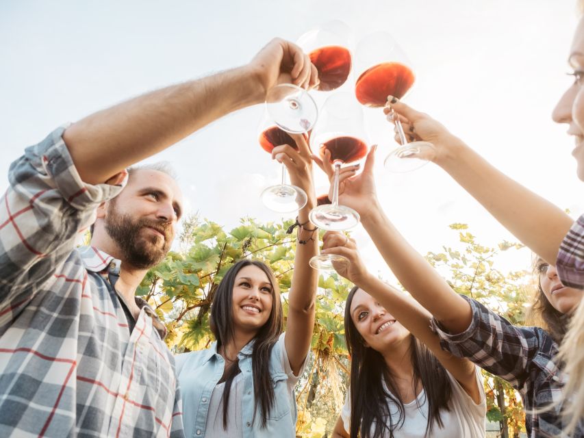 Vineyard Sips: Family Winery Tour & Gourmet Tasting in Corfu - Outdoor vineyard lounge: the Corfu slowdown