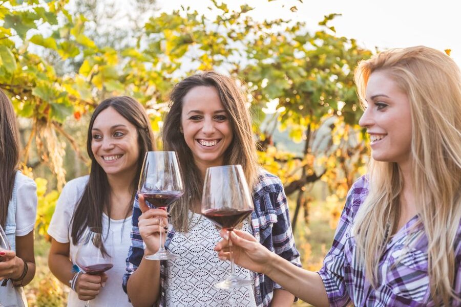 Vineyard Sips: Family Winery Tour & Gourmet Tasting in Corfu - Price and value: what $46 buys you