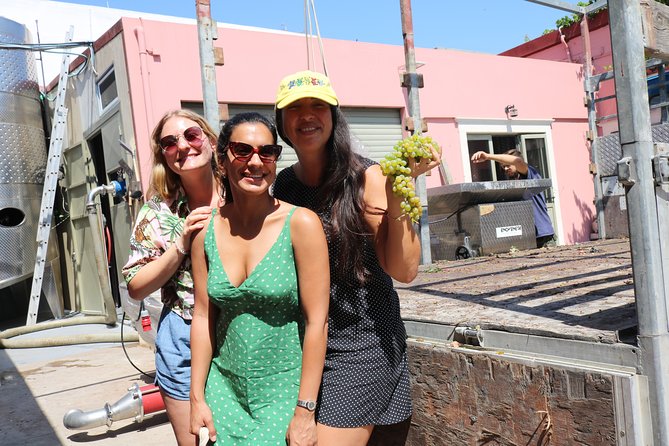 "YAMAS" - Winery tour &wine tasting - Who this tour suits best (and who might want a different plan)