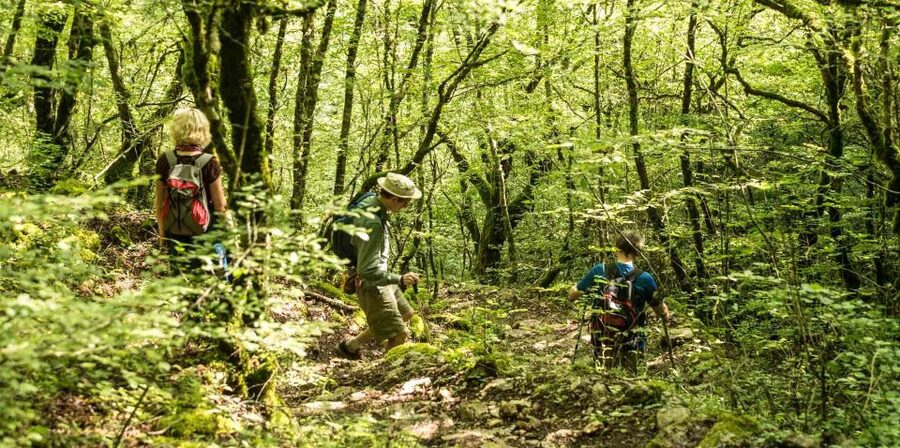 Zagori: Vikos Gorge full-day guided hike - Meeting point and getting there without stress