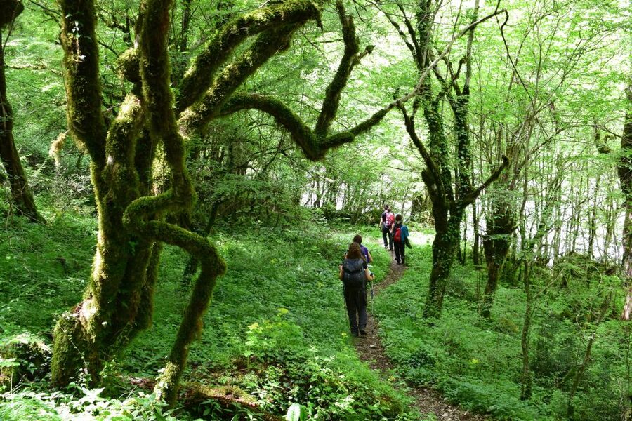 Zagori: Vikos Gorge full-day guided hike - From Monodendri to the river bed: your first 45 minutes