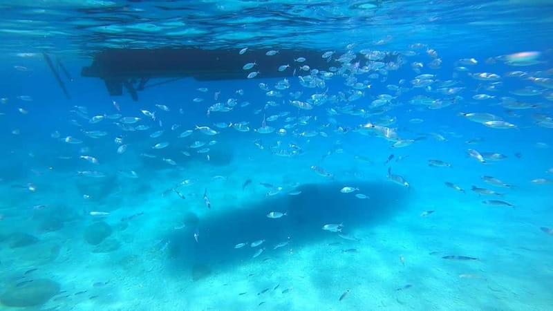 Zakynthos: Blue Caves and Navagio Bay Swim Cruise - Navagio Bay shipwreck photos: 15 minutes of focus