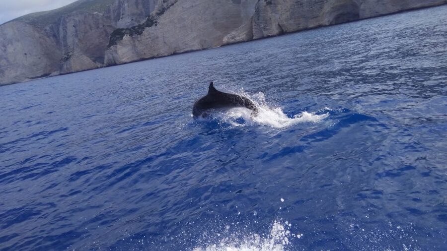 Zakynthos: early morning Shipwreck,Blue Caves and view point - Navagio: shipwreck photos even with access restrictions