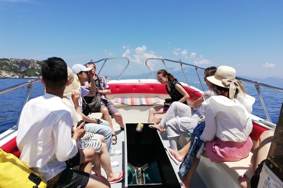 Zakynthos Small Group Tour Shipwreck & Blue Caves Land & Sea - Exo Chora’s ancient olive tree and quick taste of local products